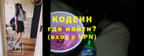 ГАЛЛЮЦИНОГЕННЫЕ ГРИБЫ Гусев