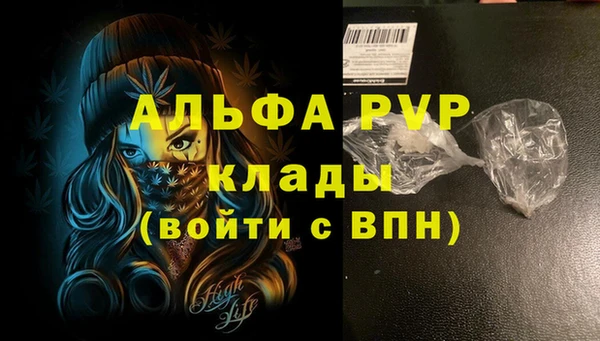 винт Дмитров
