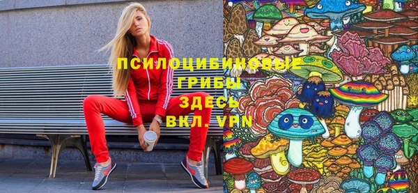 винт Дмитров