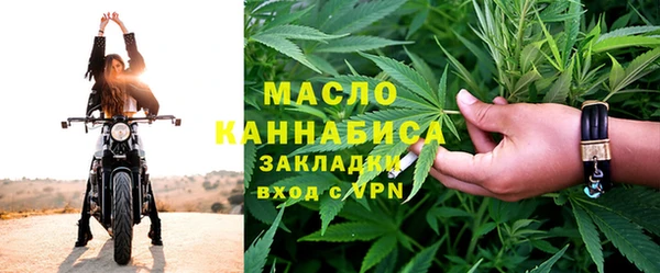 МДПВ Дмитриев